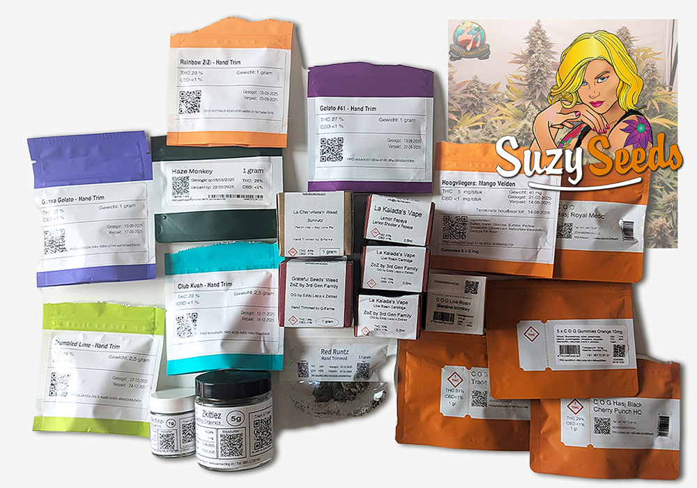 Dutch recreational cannabis legal 