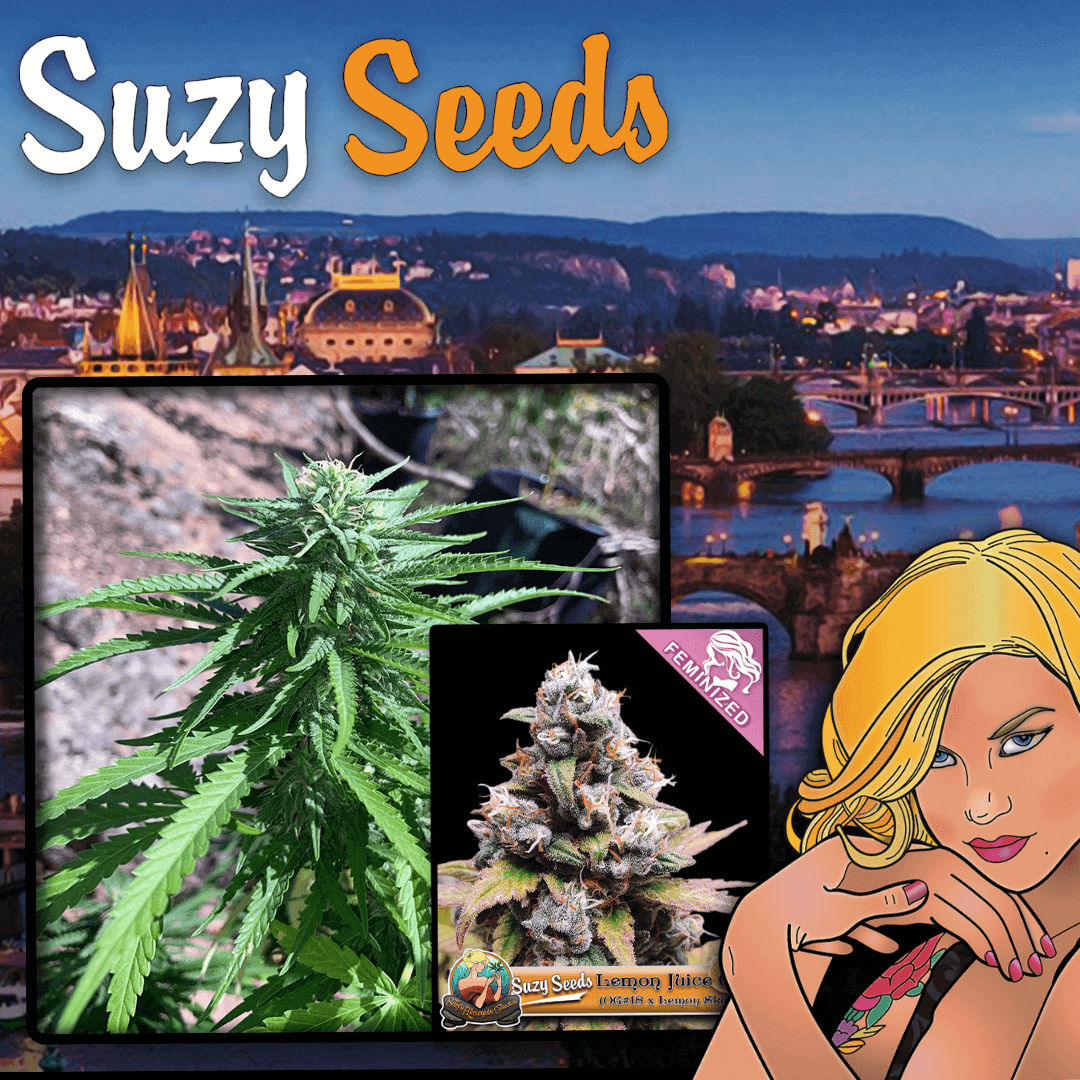 Tschechien legalisiert Cannabis