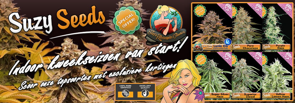 Suzy Seeds Indoor Special 