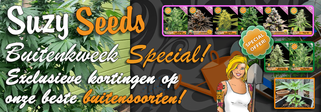 Suzy Seeds Indoor Special 