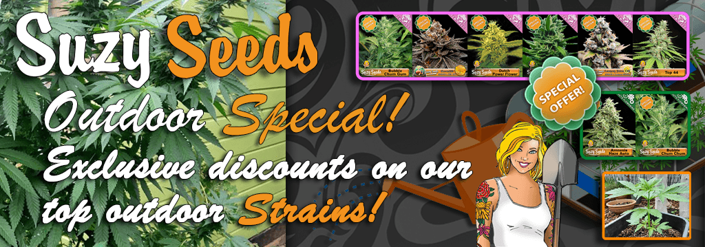 Suzy Seeds Outdoor Special 