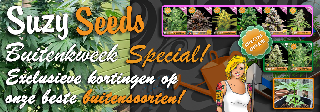 Suzy Seeds Indoor Special 