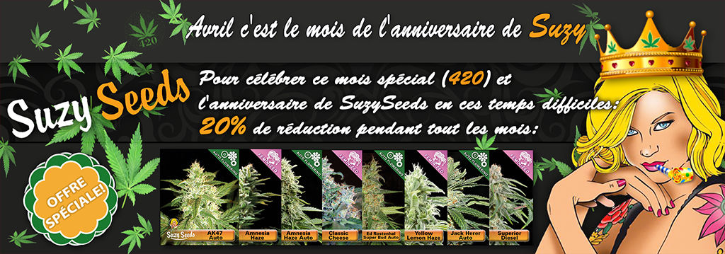 Graines de Cannabis Offre Special 420 