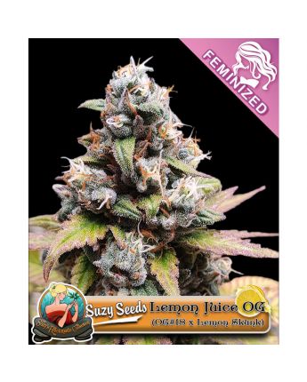 Lemon Juice OG