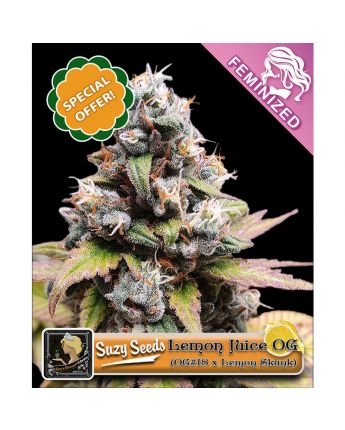 Lemon Juice OG