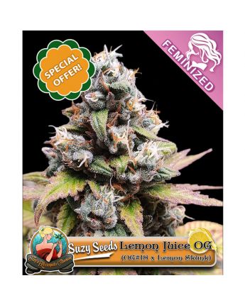 Lemon Juice OG