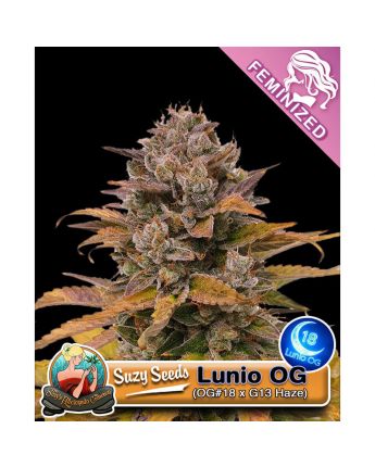 Lunio OG