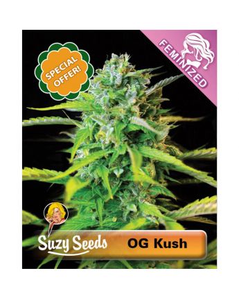 Buy Feminized & Autoflowering Cannabis Seeds - SuzySeeds