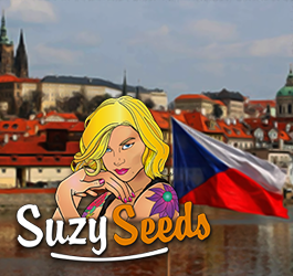 Cannabis partly legalized in the Czech Republic since January 1st 2026