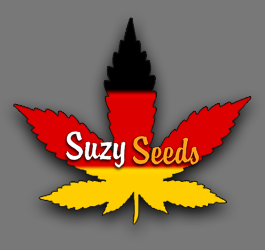 CanG 2026: Guide zu legalen Hanfsamen für Eigenanbau