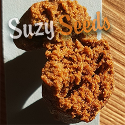 Suzy’s hash special: all you need to know about hash and making hash