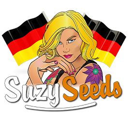 Acheter des boutures de cannabis en Allemagne : c’est interdit, tranche le tribunal de Cologne !