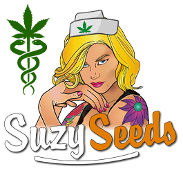 Why Dutch medicinal cannabis patients prefer homegrown over the pharmacy