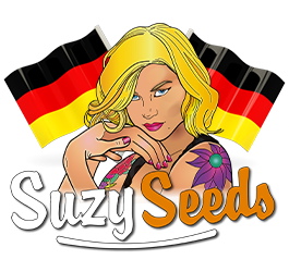 Acheter des boutures de cannabis en Allemagne : c’est interdit, tranche le tribunal de Cologne !